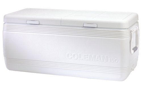 Coleman 150-Quart Cooler Marine with Rope Handles (White)