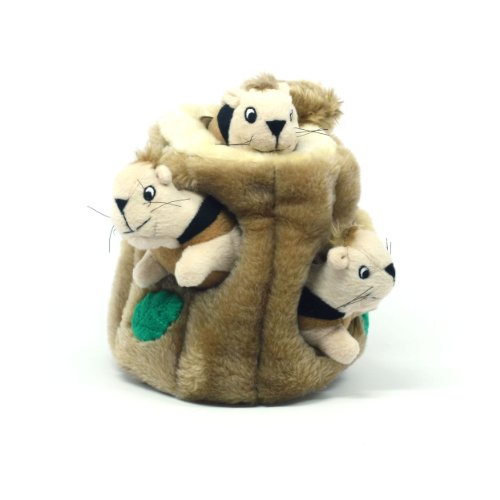 Kyjen PP01056 Hide-A-Squirrel Pet Toy, Large