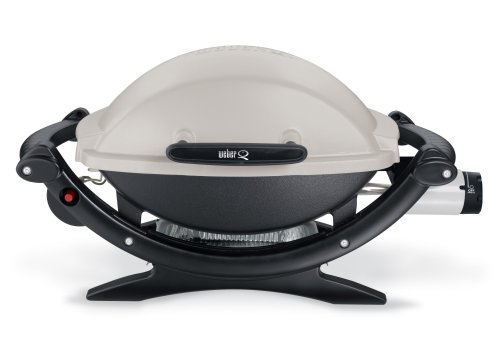 Weber 386002 Q 100 Portable Propane  Gas Grill