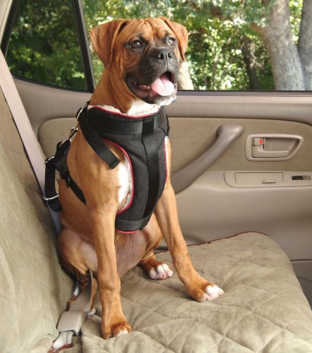 Solvit 62296 Pet Vehicle Safety Harness, Large