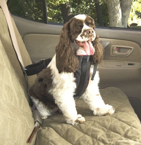 Solvit 62295 Pet Vehicle Safety Harness, Medium