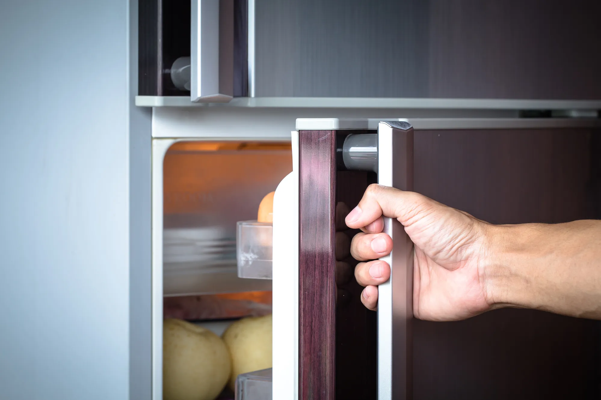 How To Keep RV Refrigerator Door Closed?